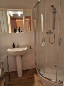 a bathroom with a sink and a shower at Sunshine Beach House, DIREKT AM SEE, eigenes BOOT, PRIVATE BEACH, Grill, WLAN in Szántód +31 photos