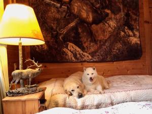two dogs laying on a bed next to a lamp at ドッグランドサムデイ in Minamitsuru