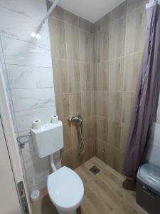 Koupelna v ubytování Apartmani Hub