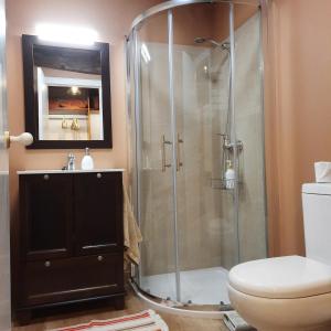 a bathroom with a shower with a toilet and a sink at La Casina del Pintor in Robledo +16 photos