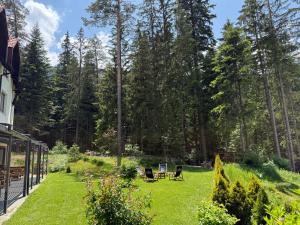 a garden with two chairs in the grass at Berghof Eva - Hotel in Panichishte