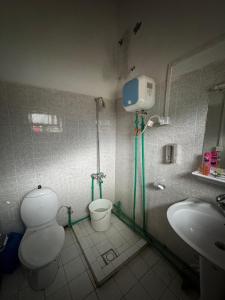 a bathroom with a shower and a toilet and a sink at The Walnut Tree Lodge, Naltar in Jugut +25 photos