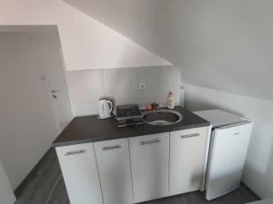 Kuchyň nebo kuchyňský kout v ubytování Apartmani Hub