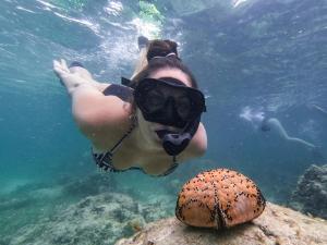 Tetamu yang menginap di Nomad Beach Resort