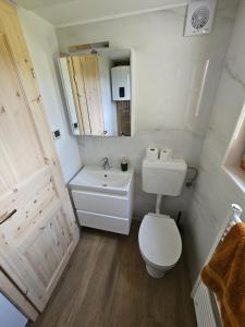 a bathroom with a toilet and a sink and a mirror at Hiška pod krošnjami 