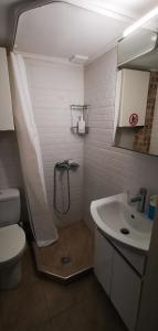 une salle de bain avec une douche, des toilettes et un lavabo dans l'établissement Nea Elvetia Metro Station apartment Thessaloniki-Νέα Ελβετία Στάση Μετρό Θεσσαλονίκη, à Thessalonique