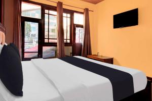 TV a/nebo společenská místnost v ubytování Hotel O Rajbagh