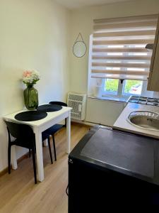 Fotografie z fotogalerie ubytování ApartmanZ v Javorníku