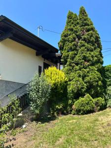 a large green tree next to a house at Haus Ingrid in Mauerbach