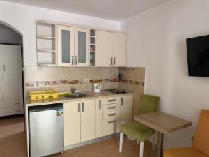 Kuchyň nebo kuchyňský kout v ubytování R&A Apartmani Bečići