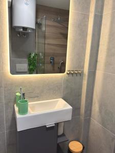 Koupelna v ubytování Studio apartman Boogie