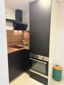 Kuchyň nebo kuchyňský kout v ubytování Studio apartman Boogie
