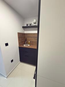 Kuchyň nebo kuchyňský kout v ubytování Studio apartman Boogie