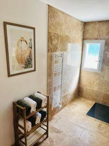 a bathroom with a walk in shower next to a towel rack at Gîte du dousset in Esclottes +22 photos
