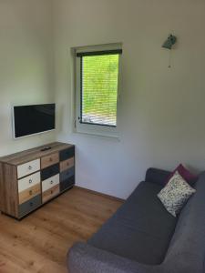 Televiisor ja/või meelelahutuskeskus majutusasutuses Tiny House Eulenbach +22 fotot
