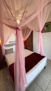 a bedroom with a canopy bed with pink drapes at BEL Z 'IGUANE in Trois-Rivières +15 photos