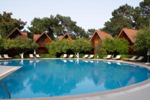 a large swimming pool with chairs and trees at Woodline Hotel in Kemer