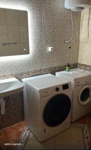 Foto de la galeria de Amazon Hostel Podgorica a Podgorica