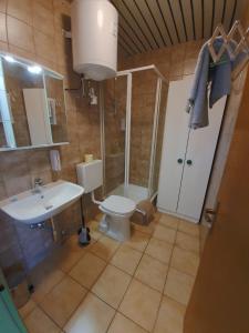 a bathroom with a toilet and a sink and a shower at Zirbitzblick in Zeltweg