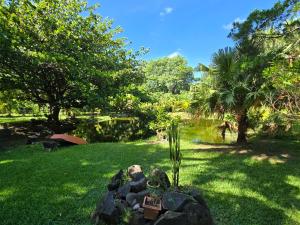 a garden with a cactus and rocks in the grass at Lazy Tilapia in Baie du Tombeau