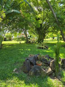 a pile of rocks on the grass in a park at Lazy Tilapia in Baie du Tombeau