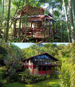 Κήπος έξω από το Casa Juçara & Casa Tucano - Floripa - Exclusive Forest Escape