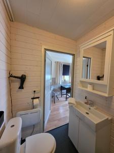 a bathroom with a toilet and a sink at Riverfront Lodge Hella in Hella +36 photos