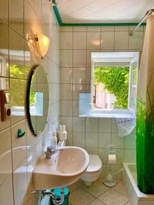 a bathroom with a sink and a toilet and a mirror at Bed Bike und Swim in Altötting +15 photos