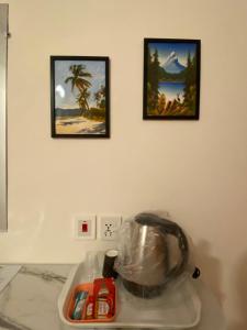 a blender on a counter with two pictures on the wall at Askari Inn Hotels in Swat