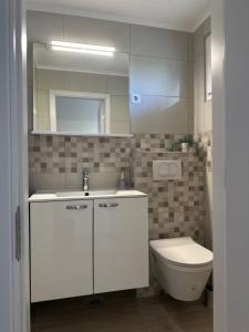 Koupelna v ubytování Apartment Barbin