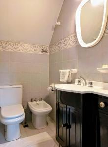 un bagno con un water, un lavandino e uno specchio di Apart Rose Garden a San Martín de los Andes