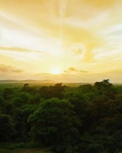 a sunset over a forest of trees with the sun setting at Villa Retreat Cottages Ramnagar in Londa