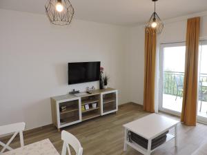 Televízia a/alebo spoločenská miestnosť v ubytovaní Apartments Villa Elma