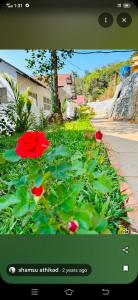 Zahrada ubytování bynza paradise resort zen villa