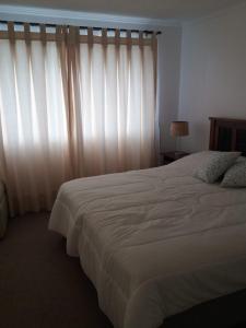 Ένα ή περισσότερα κρεβάτια σε δωμάτιο στο las rocas de Santo Domingo amplio departamento