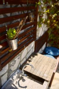 a wooden bench with a potted plant on it at Bruno in Barušić