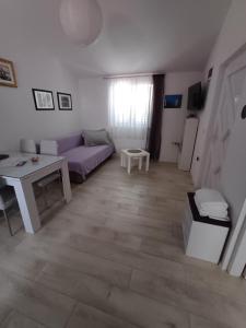 TV a/nebo společenská místnost v ubytování Apartment Ivkica + 13 fotografií