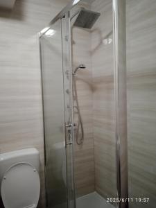a shower stall in a bathroom with a toilet at Stan na dan in Ljubuški +9 photos