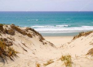a beach with sand dunes and the ocean stock photo at Gîte au calme entre Saint Emilion et Bordeaux in Lugon et l’Ile du Carney +2 photos