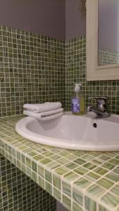 een wastafel met handdoeken erop bij Cozy independent studio in Roussillon en Isere +18 foto's