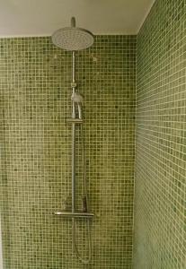 een douche in een badkamer met groene betegelde muren bij Cozy independent studio in Roussillon en Isere