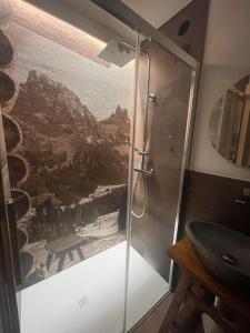 a bathroom with a shower with a painting on the wall at Stella Alpina San Martino di Castrozza vista Pale in San Martino di Castrozza +22 photos