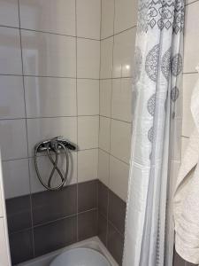 a bathroom with a shower curtain and a toilet at Apartment Simi in Postira