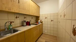 a kitchen with a sink and a counter top at Il Cadorino in Valle di Cadore