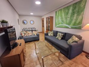 a living room with two couches and a tv at Arriondas Toyos A in Arriondas