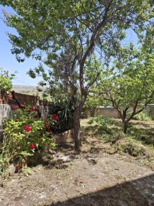 Zahrada ubytování Bonita y tranquila casa rural cerca de Noheda