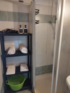 QuilianoにあるLa Torretta Casa vacanza con giardinoのバスルーム(シャワー、タオル付)