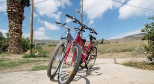 Jízda na kole v ubytování Tania village Zakros maisonette nebo okolí