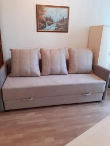 a couch in a living room with a painting on the wall at Apartman Ruza in Soko Banja
