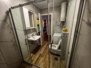 ノヴィサドにあるGrey & Yellow appartementのガラスのシャワーと洗面台を備えたバスルーム